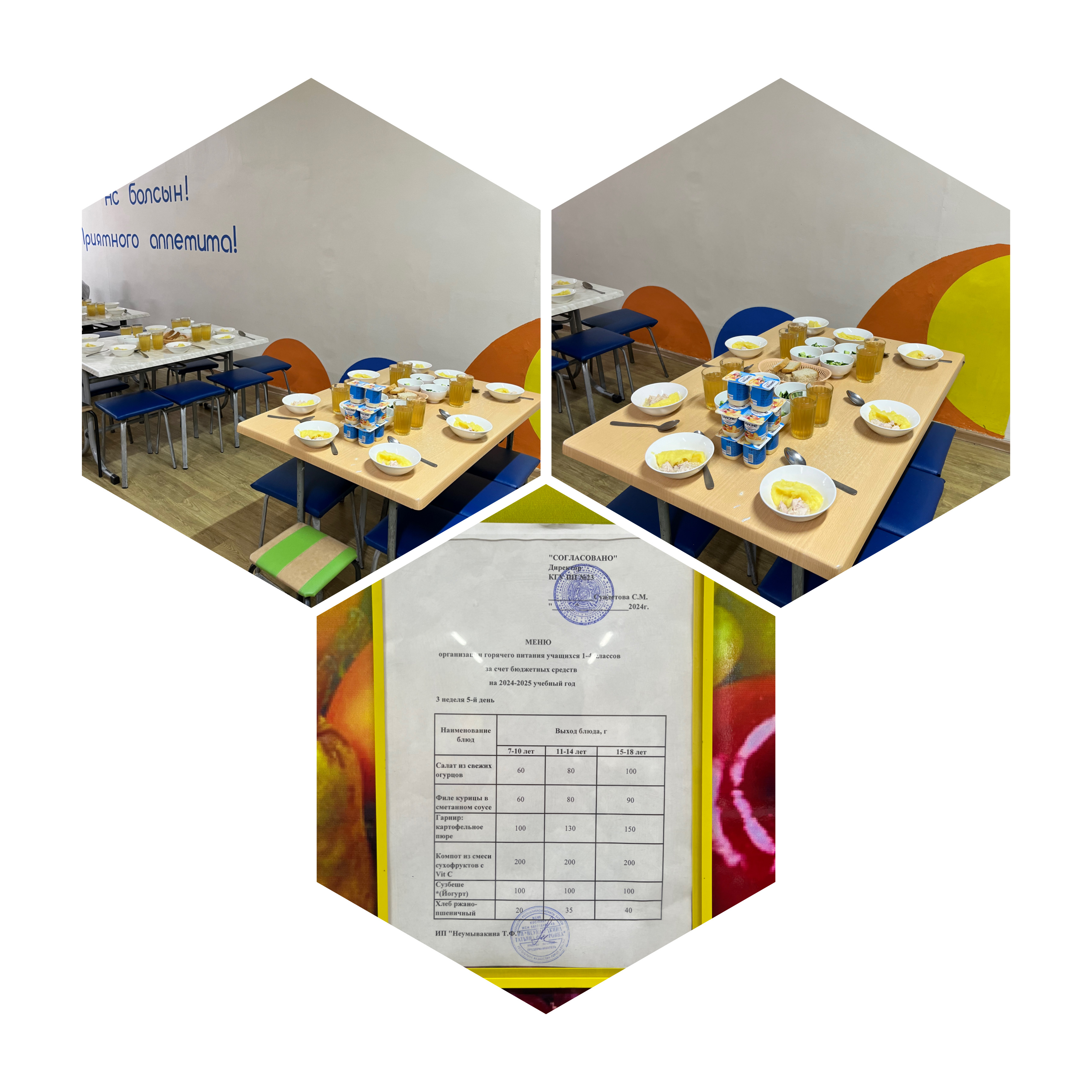 22.11.24. Тегін ыстық тамақтандыруды ұйымдастыру/Организация бесплатного горячего питания