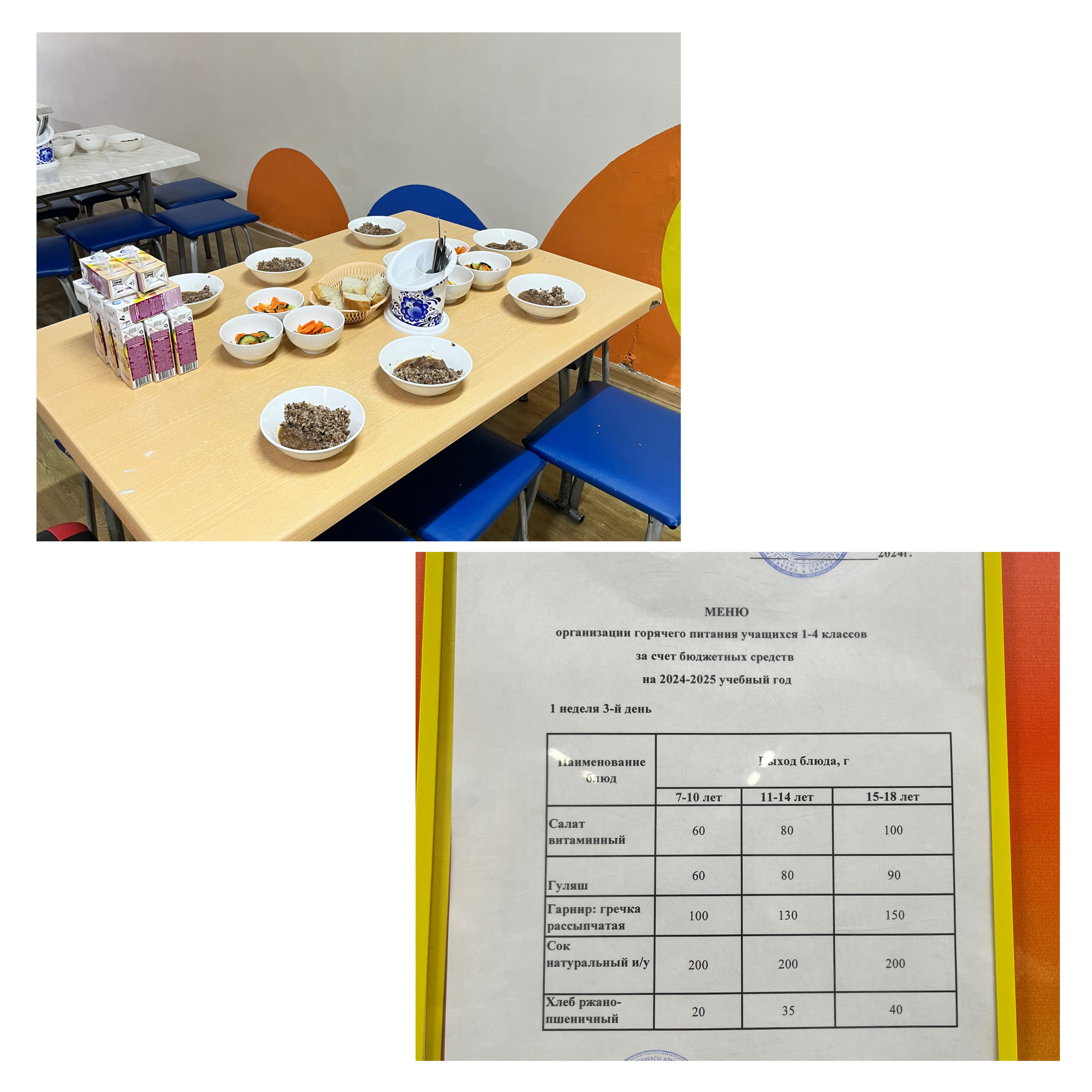 4.12.24. Тегін ыстық тамақтандыруды ұйымдастыру/Организация бесплатного горячего питания